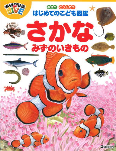 学研「はじめてのこども図鑑」さかな・みずのいきもの