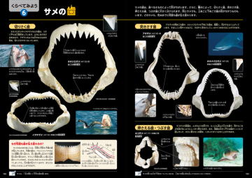 図鑑LIVE　新版　危険生物