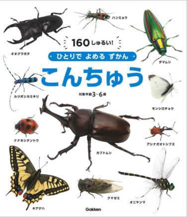 学研　ひとりでよめるずかん　こんちゅう