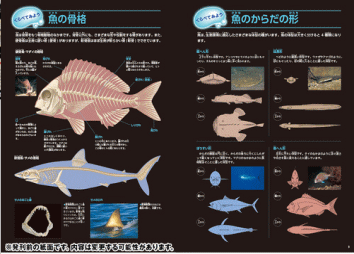 図鑑LIVE　新版　魚