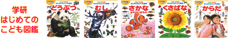 学研　なぜ？どうして？「はじめてのこども図鑑」　どうぶつ/むし/さかな・みずのいきもの/からだ