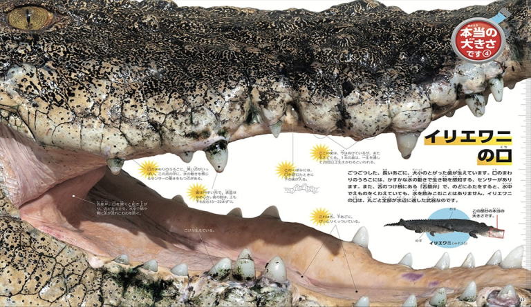 図鑑LIVE　新版　危険生物