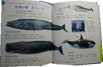 ひとりでよめるずかん「どうぶつ」