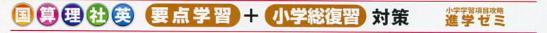 国・算・理・社・英　要点学習＋小学総復習対策　進学ゼミ