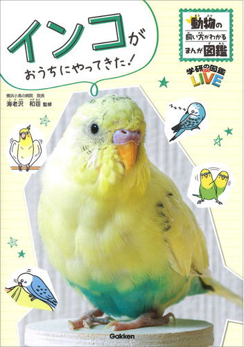 インコがおうちにやってきた！動物の飼い方がわかるまんが図鑑