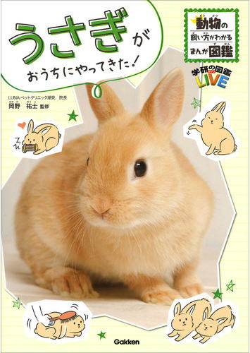 うさぎがおうちにやってきた！動物の飼い方がわかるまんが図鑑